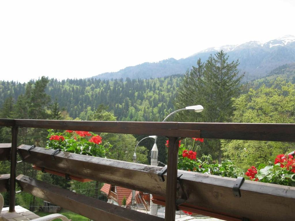 Hotel Piatra Soimului Sinaia Exterior foto